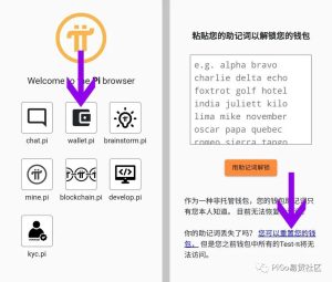 Pi network重置钱包教程插图