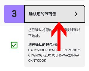 Pi network绑定助记词教程插图2