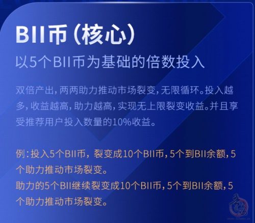 首码  BI时代  速度上车吃肉插图2