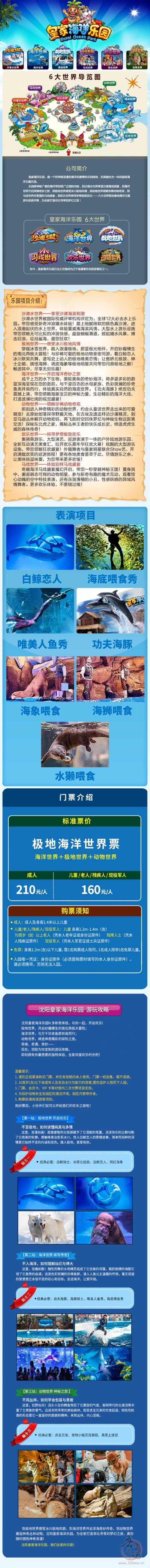 首码海洋乐园:预热上线,喂养分红收益,限量海龟,688福利免费送,一元提现秒到账
