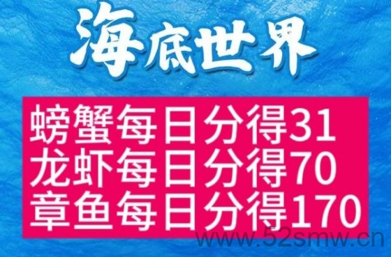 海底世界:养殖的鱼种不同,收入也不一样-首码项目网