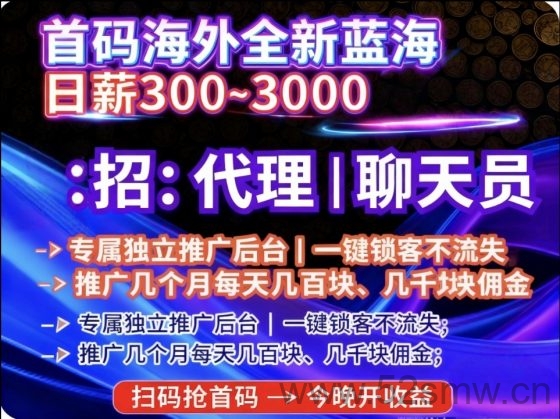 首码海外语聊项目助力轻松月入过万,抓住市场空白的风口机会-首码项目网