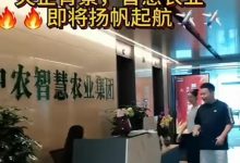 慧农生活:零撸广告赚取积分,高扶持对接团队长,升星享分红-首码项目网