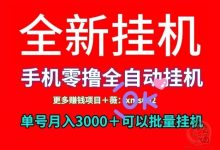 一斗米挂机:自动点赞,零撸,月入3000+,多号多撸-首码项目网