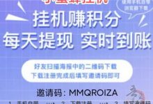 2024刚出小蜜蜂平台—挂机完成点赞关注赚取积分,2元起不卡小数点后两位-首码项目网