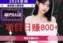 《GAME飞赚》首码体验:日赚1000+,秒到账,正规稳定!-首码项目网