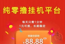 一斗米挂机点赞靠谱吗?2025排名第一点赞软件-首码项目网