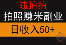 违拍拍平台:街头违停拍照赚钱软件靠谱吗-首码项目网