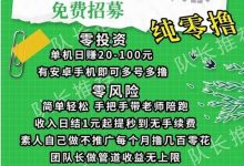 柚趣广告工具掘金项目,0.3起提秒|-首码项目网