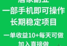 点点赞客：无需人工动手，2025高新手机副业-首码项目网