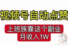 一斗米:2025全新自动点赞关注网页版,上搬族月入1万-首码项目网