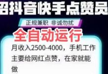 一斗米:视频号自动掘金系统使用简介-首码项目网