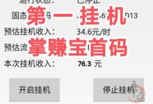 掌赚宝登陆直接提5沅?挂机榜排名第一-首码项目网