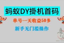 蚂蚁挂机模拟真人点赞,单DY号日收20+-首码项目网