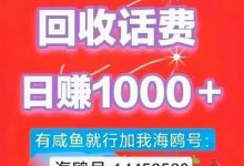 首码,《卡盟助手》 绿色搬砖项目,日撸 1000 +, 简单粗暴!-首码项目网