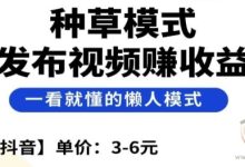 小米视客，DY视频代发 一単赚6米不好吗-首码项目网