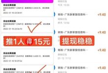 国美通通被国家认可吗?投资365元能回本吗?有没有风险?-首码项目网