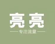 新掌盟2025重磅上线:全网对接优秀团队长,亮亮团队高扶持,VIP会员享15米收益!-首码项目网