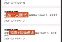新掌盟,开通会员高扶持,几天回本,以后全是利润,速度搞起,一对一教-首码项目网