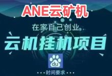ANE首码项目:注册送666元体验,零撸+回收兜底-首码项目网