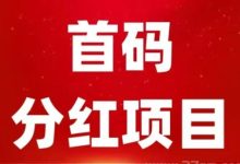 ANE云旷机首码项目:轻松获得云币,永久旷机,收益稳定-首码项目网