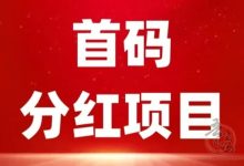 赤峰黄金2025最新赚钱攻略:注册送1200元秒提现 直推6人日赚1500元实操技巧-首码项目网