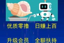 海螺挖K项目:零撸轻松日赚100-1000元,会员扶持计划-首码项目网
