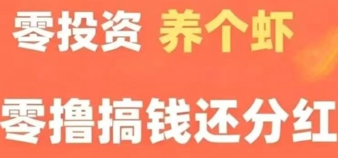 养成琻币虾0撸首码：每日分钱轻松赚，小额提现秒到账-首码项目网