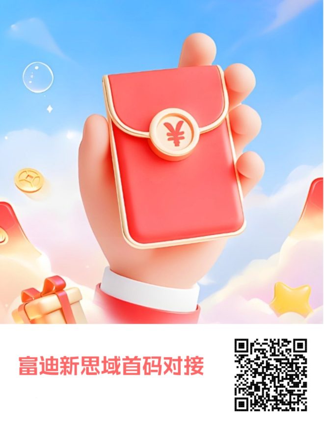 富迪新思域是什么，富迪新思域模式制度讲解-首码项目网
