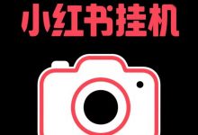 挂机价格全网置顶，永久最高价，-首码项目网