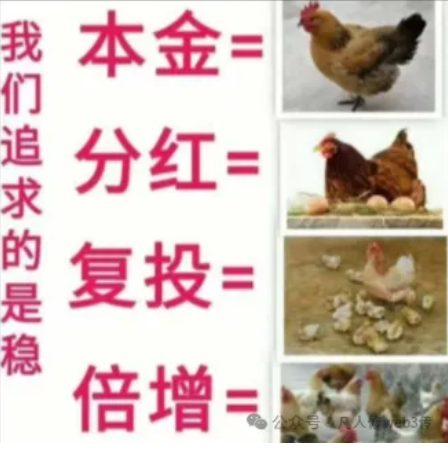 链游首码零撸MallEX国际电商购物 一键领取，链门声望生活卷轴模式！-首码项目网