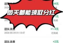 数智芯投ai算力自动帮你挣米非常好，每天自动产出-首码项目网