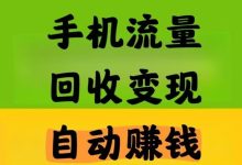 恒创节点闲置手机流量变现:云挂机自动跑任务,注册送设备零成本日入几十米满1米提X-首码项目网
