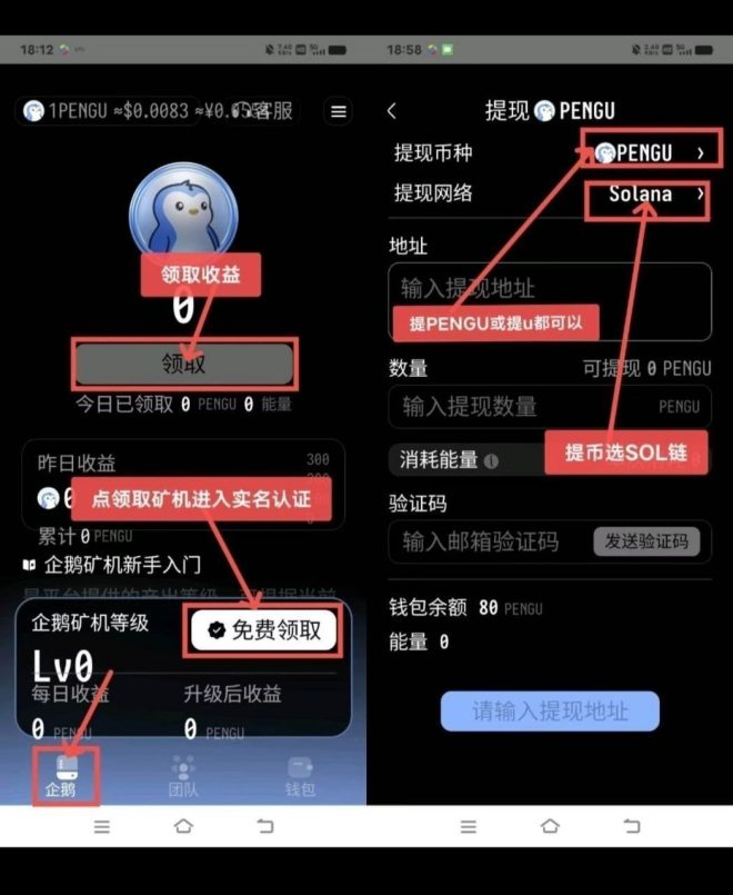企鹅注册简单实名赠送送80Pengo①台永久矿机每日产出40Pengo-吾爱首码网
